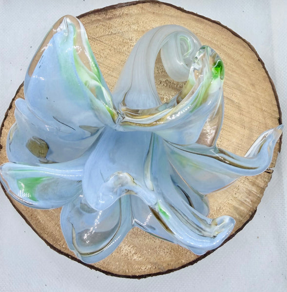 Everlasting Double Flower-Blue,Green and Brown