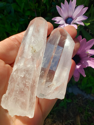 Lemurian