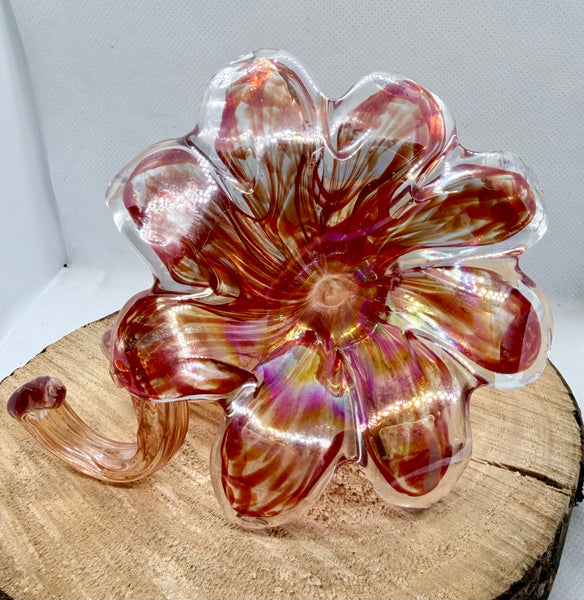 Everlasting Flower-Red