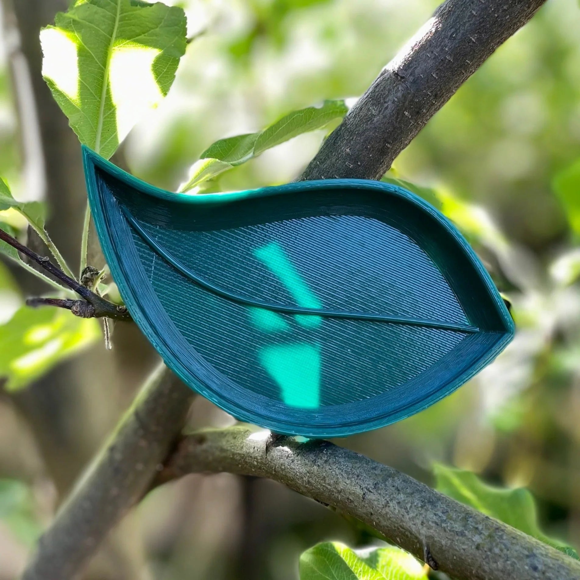 leaf bio tray mini