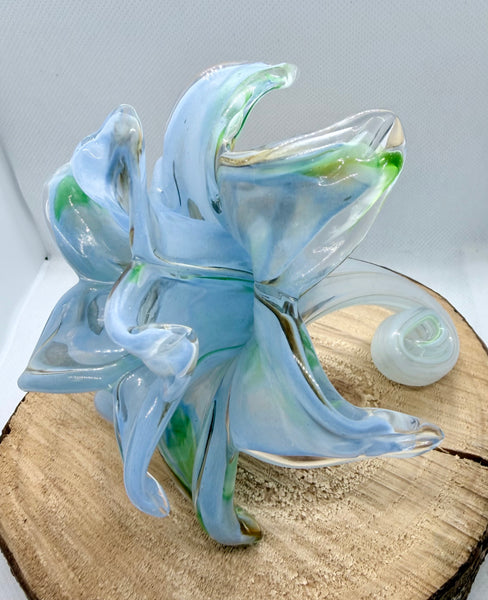 Everlasting Double Flower-Blue,Green and Brown