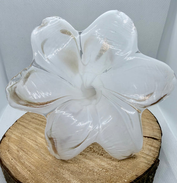 Everlasting Flower-White and Gold