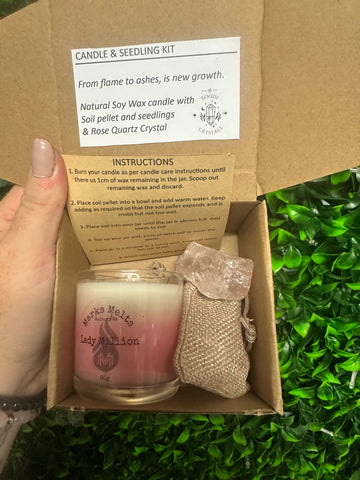 Candle and Seedling Kit~Rosemary
