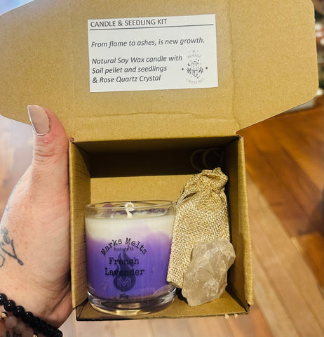 Candle and  Seedlings Kit~Carnations