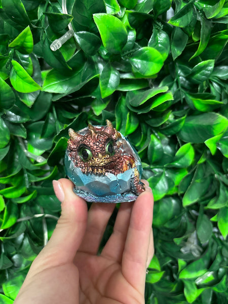 Dragon Hatchling