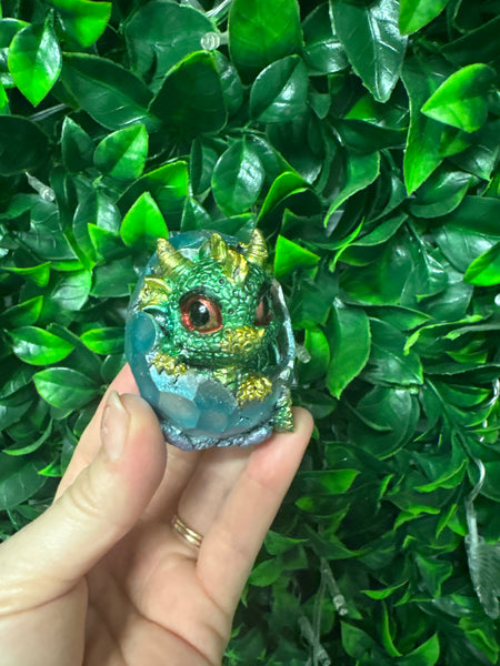 Dragon Hatchling