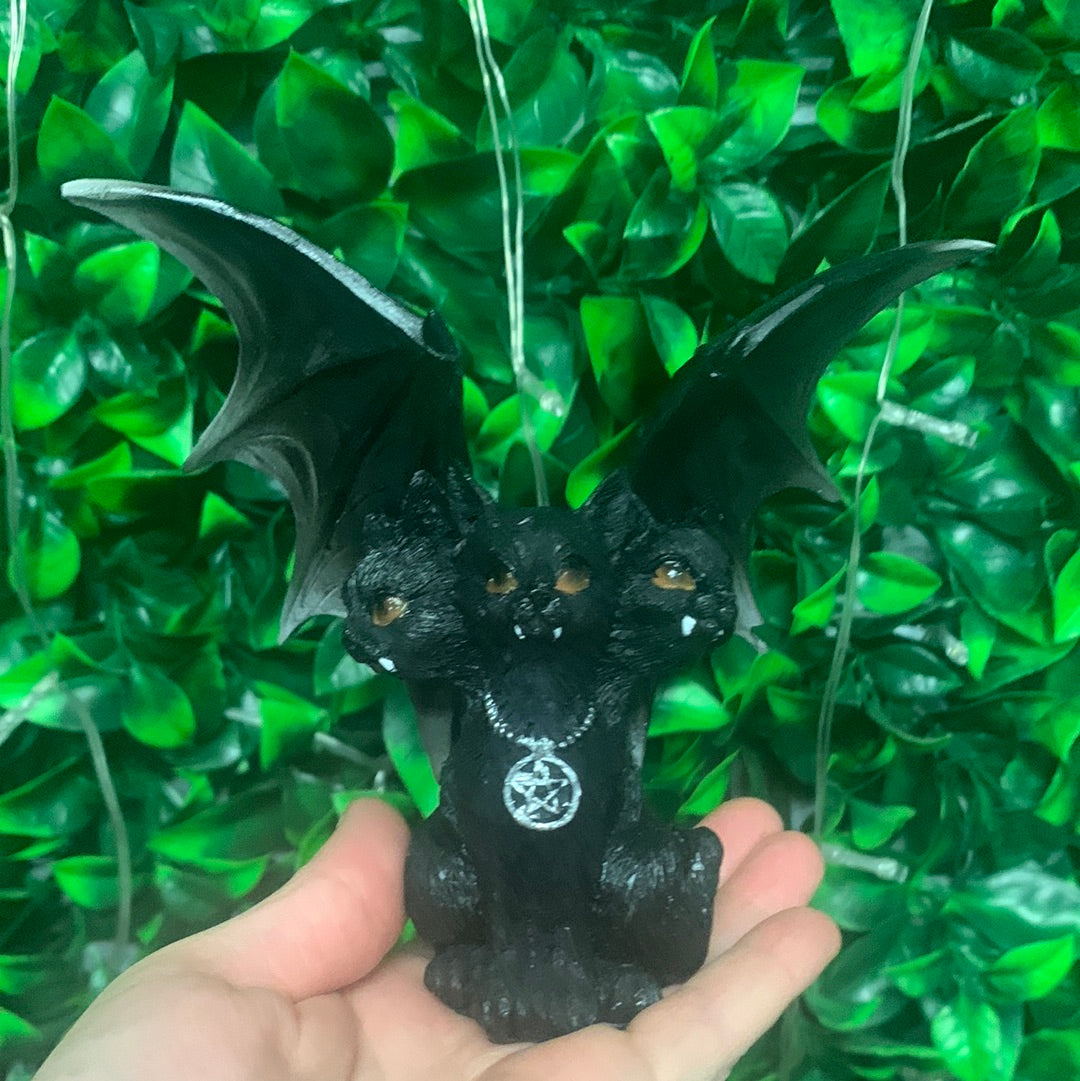 Black Wiccan Cat