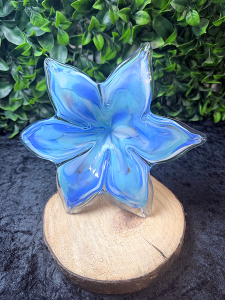 Everlasting Flower XL - Blues
