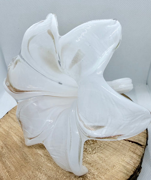 Everlasting Flower-White and Gold