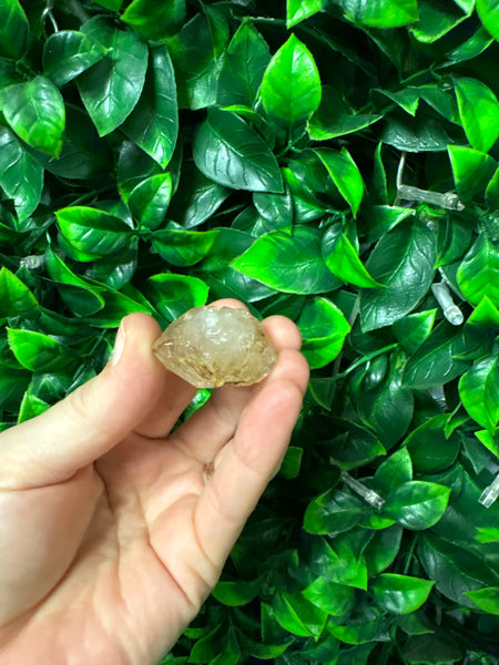 Window Quartz