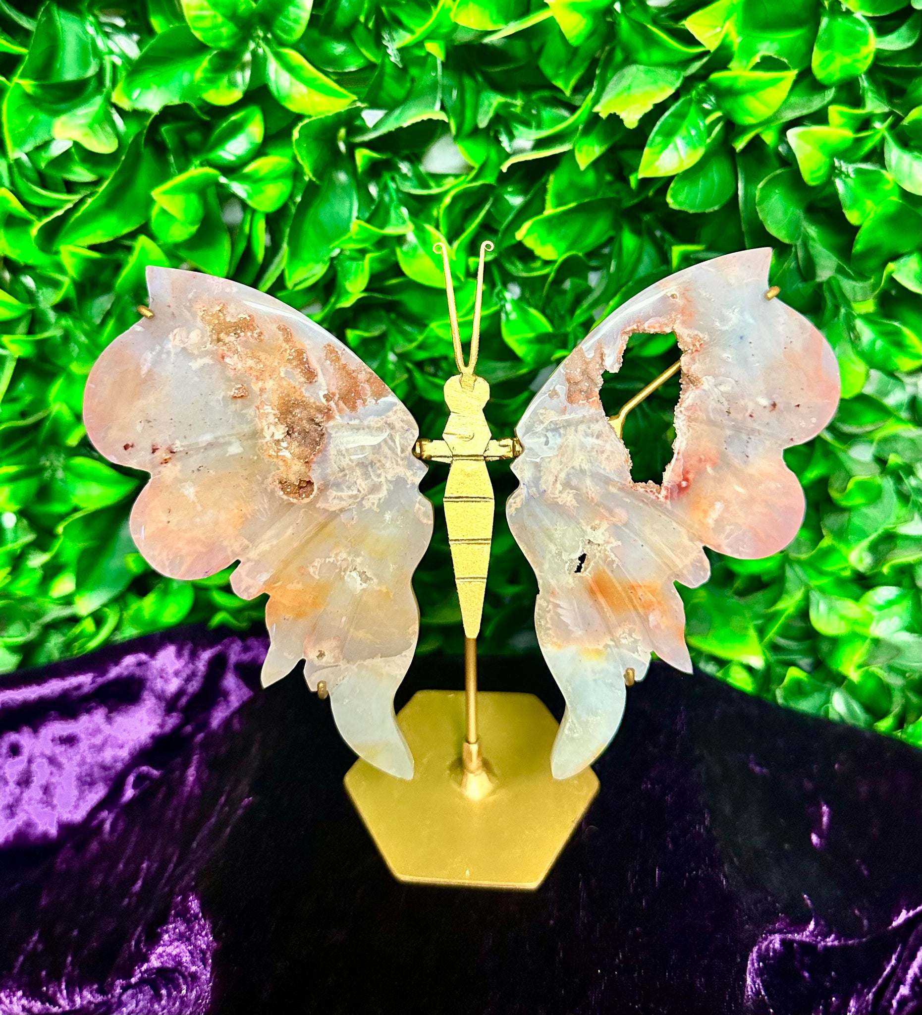 Pink Plume Agate Butterfly