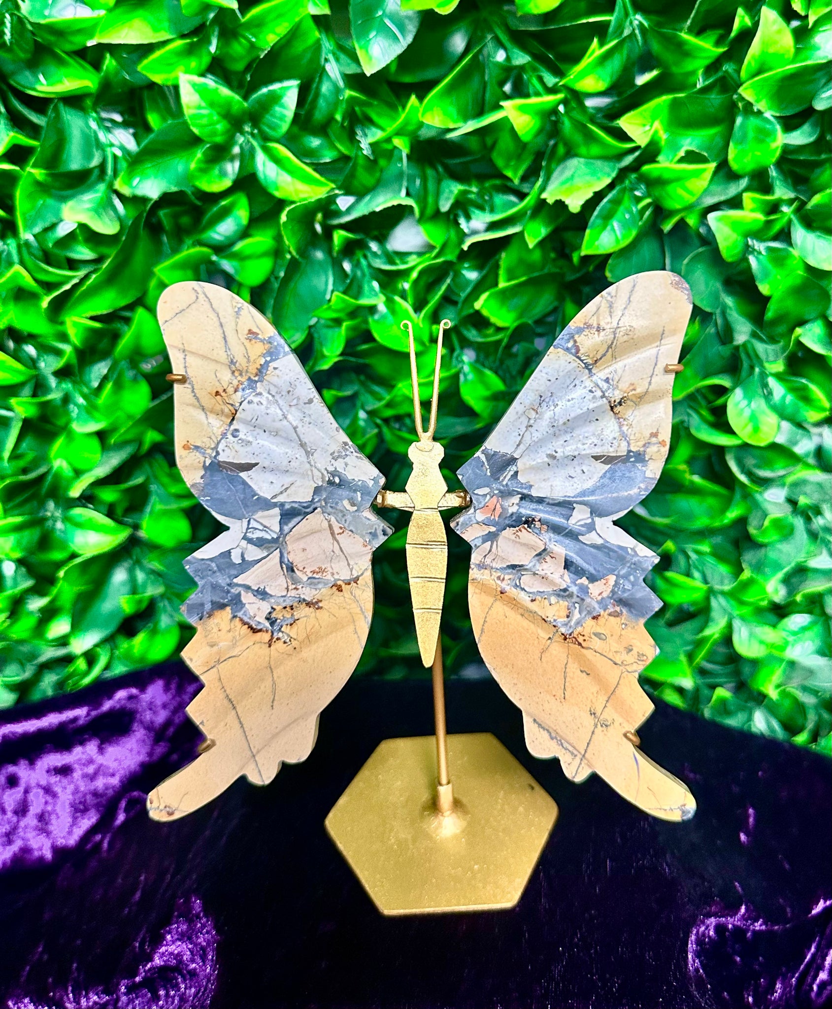 Maligano Jasper Butterfly