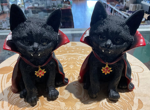 Vampire cat