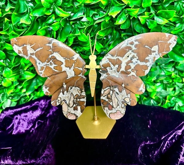 Ocean Jasper Butterfly
