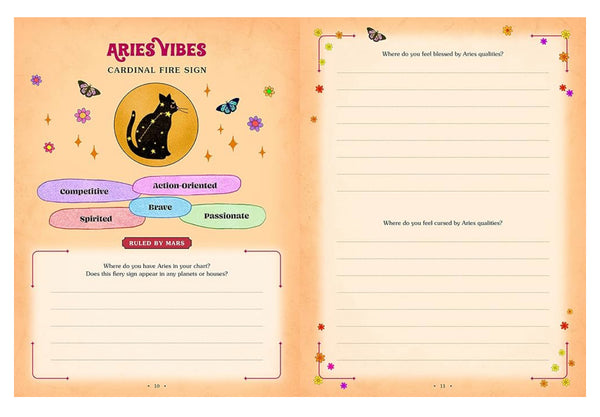Cosmic companion workbook