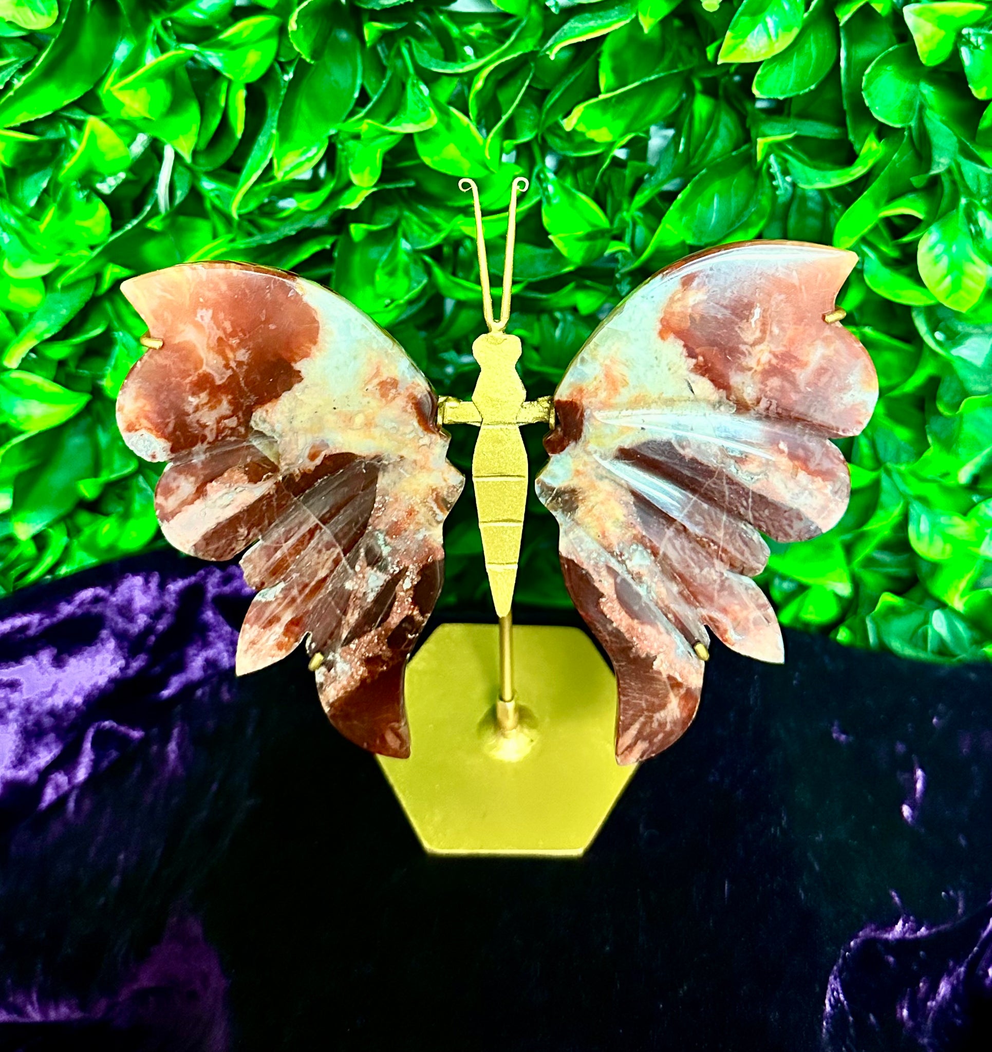 Carnelian Butterfly
