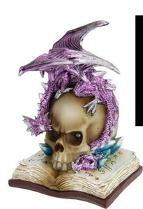 Light up Skull with Dragon & Book