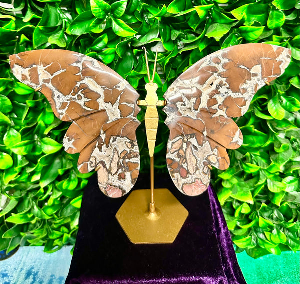 Ocean Jasper Butterfly