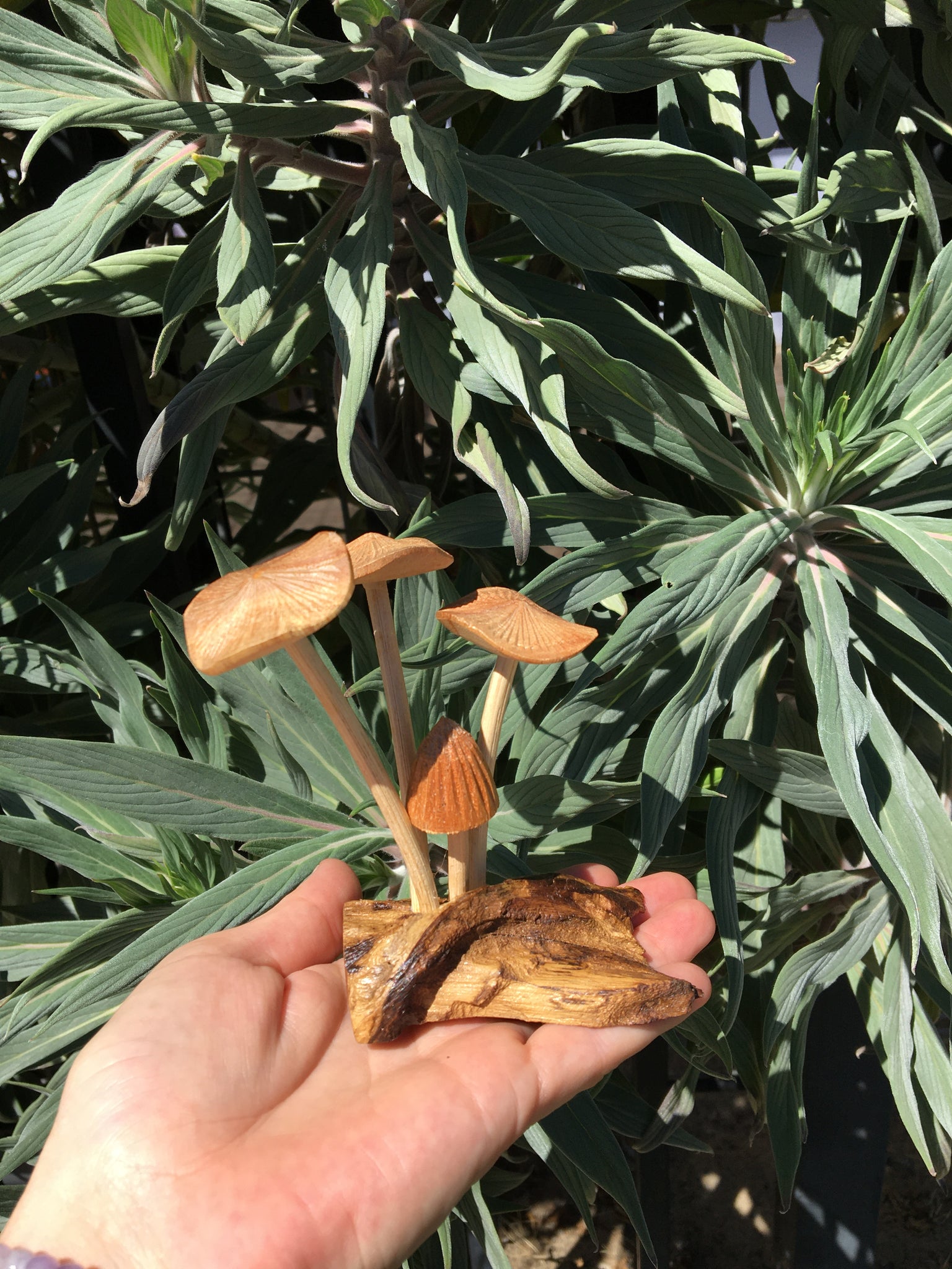 Wooden Mushrooms