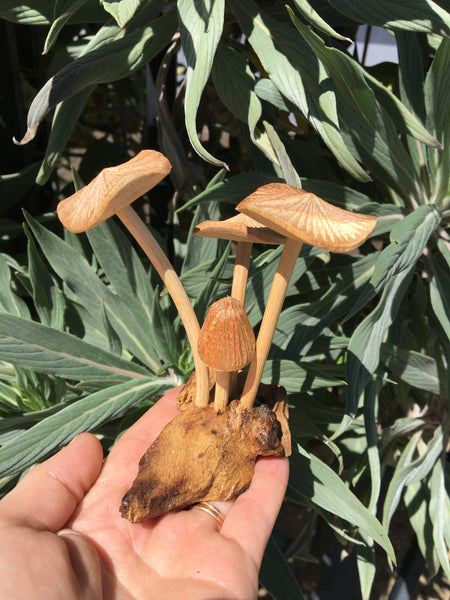 Wooden Mushrooms