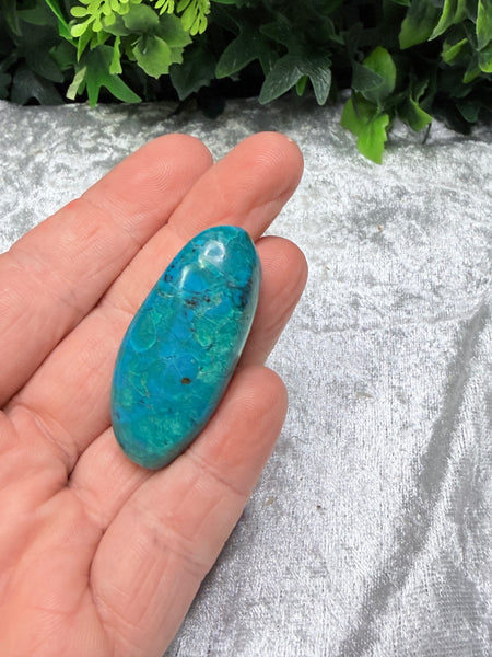 Chrysocolla Small Palm Stone
