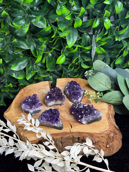 Amethyst cluster