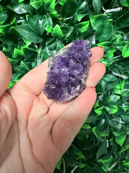 Amethyst cluster