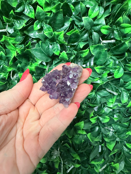 Amethyst cluster