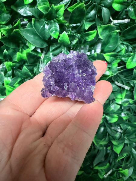 Amethyst cluster