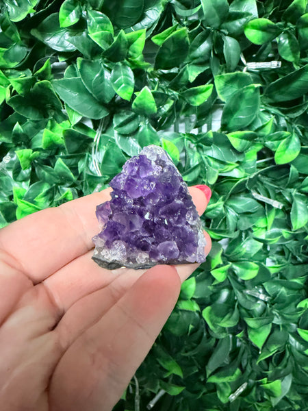 Amethyst cluster