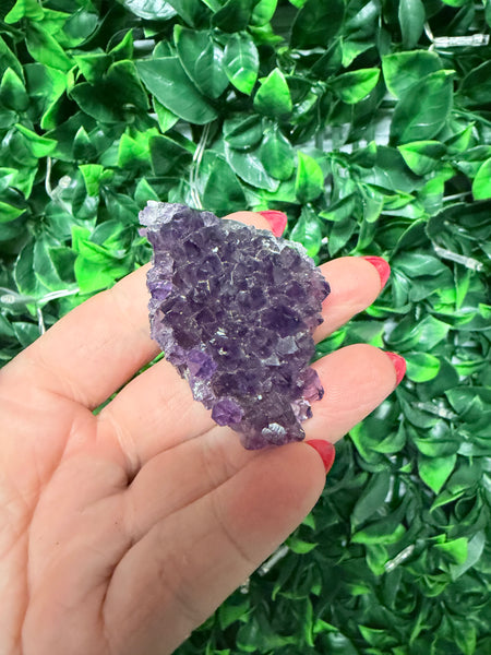 Amethyst cluster
