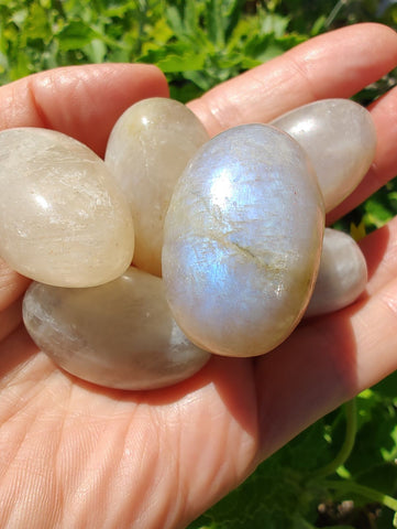 Rainbow Moonstone Tumbled Large