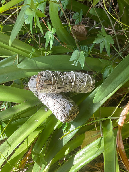 Sml White Sage Smudge Stick