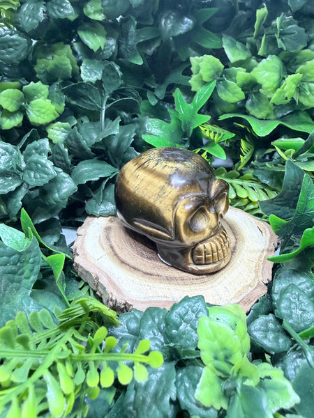Tiger Eye Skull