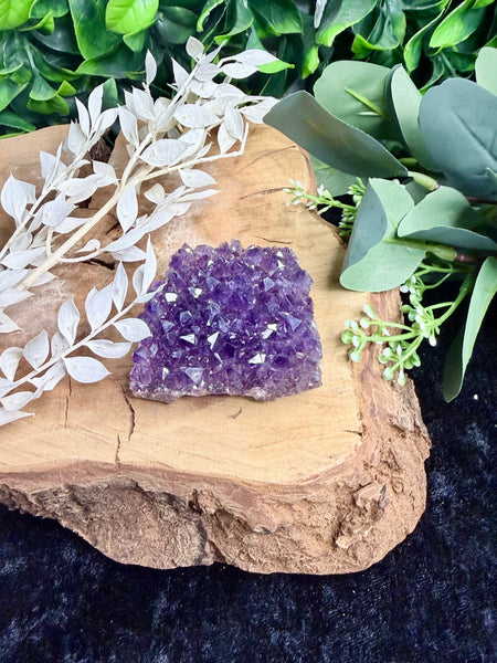 Amethyst Cluster