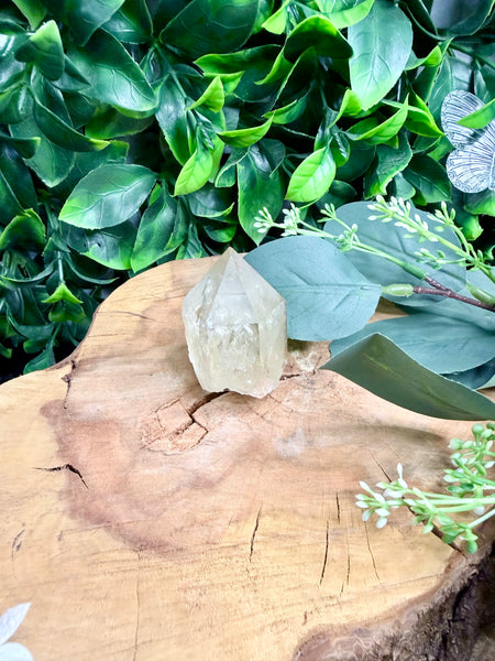 Citrine Point