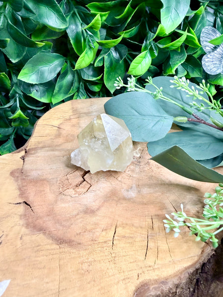 Citrine Point