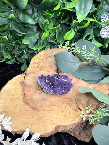 Amethyst Cluster