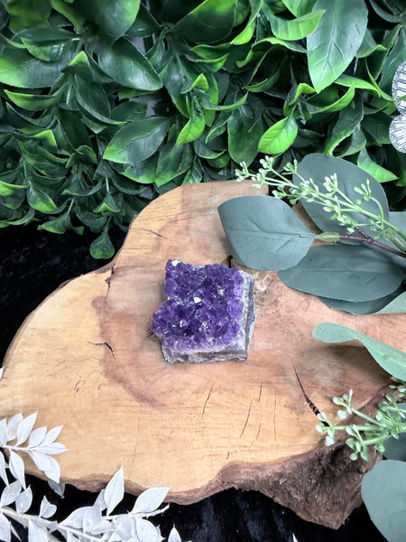 Amethyst Cluster
