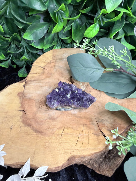 Amethyst Cluster