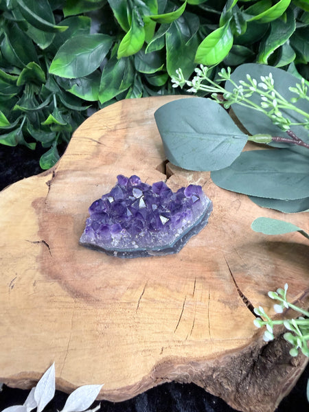 Amethyst Cluster