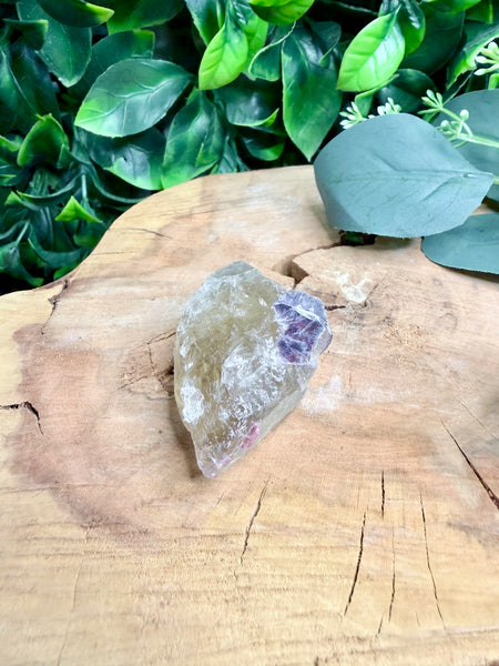 Elestial Citrine Raw with lepidolite and pink tourmaline inclusions
