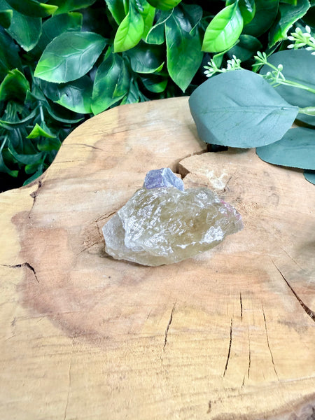 Elestial Citrine Raw with lepidolite and pink tourmaline inclusions