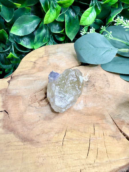 Elestial Citrine Raw with lepidolite and pink tourmaline inclusions