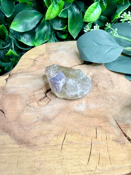 Elestial Citrine Raw with lepidolite and pink tourmaline inclusions