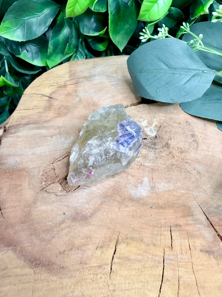 Elestial Citrine Raw with lepidolite and pink tourmaline inclusions