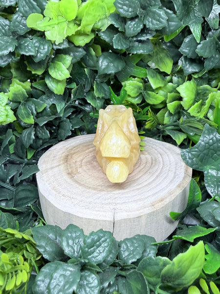 Orange Calcite Dino Skull