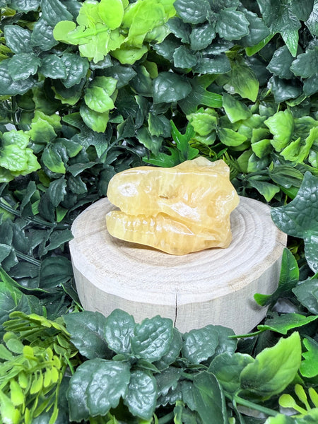 Orange Calcite Dino Skull