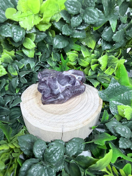 Amethyst Dino Skull