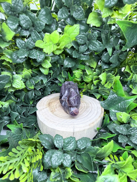 Amethyst Dino Skull